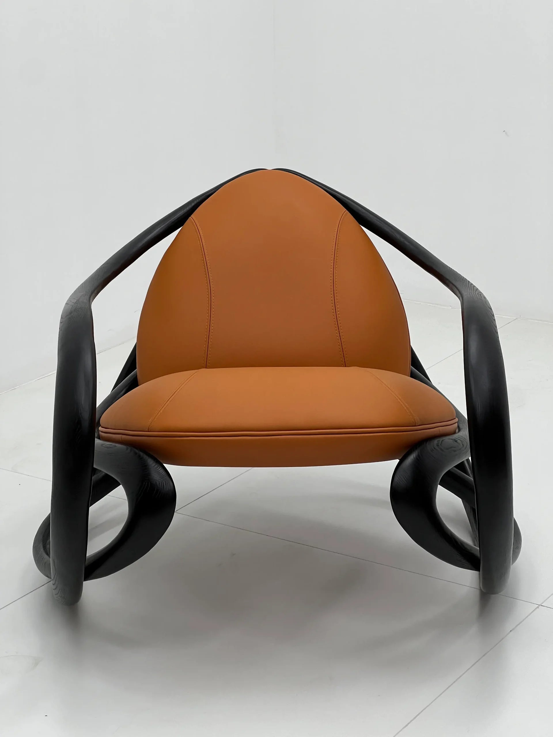 Modern Organic Leather Lounge Chair in Terracotta & Black ¨C Sculptural Biomorfic Accent Seating for Commercial Hotels, Lounges & Premium Offices